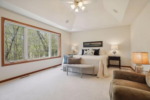 Huge owner's bedroom with large window overlooking wooded back yard and tray vault.