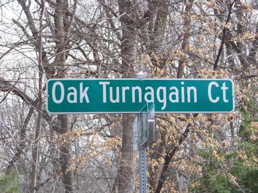 Lts 1 & 2 Oak Turn Again Court, Glenwood, MN 56334
