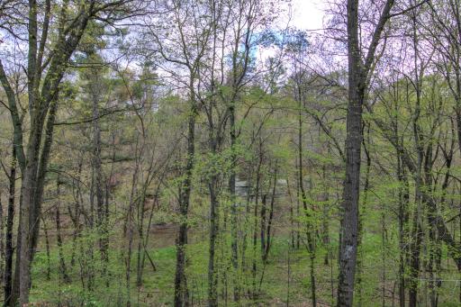 Wooded backyard where you will see all kinds of deer and birds!