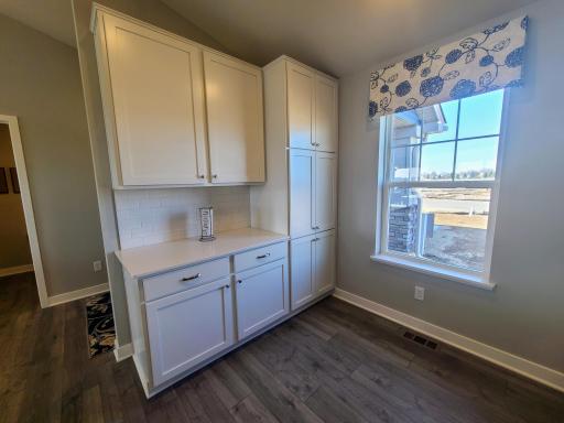 Lots of closets and pantry space will ensure that you have plenty of storage options. Photo is of actual home. Colors and options may vary. Ask Sales Agent for details.