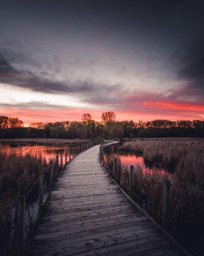 Catch a sunset at the Wood Lake Nature Center boardwalk!