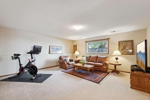 Lower level family room! Cozy yet spacious!
