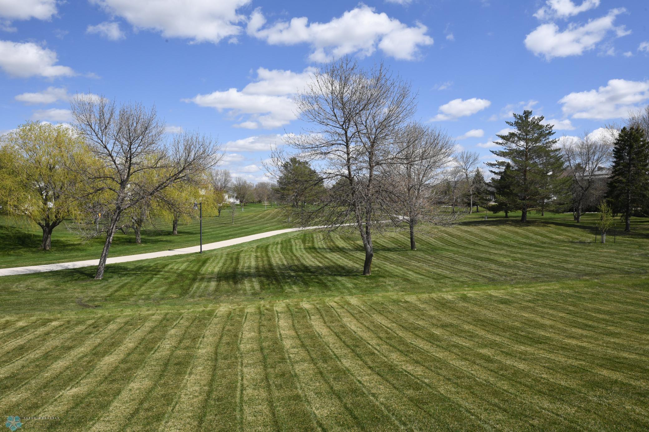 yard/walking path