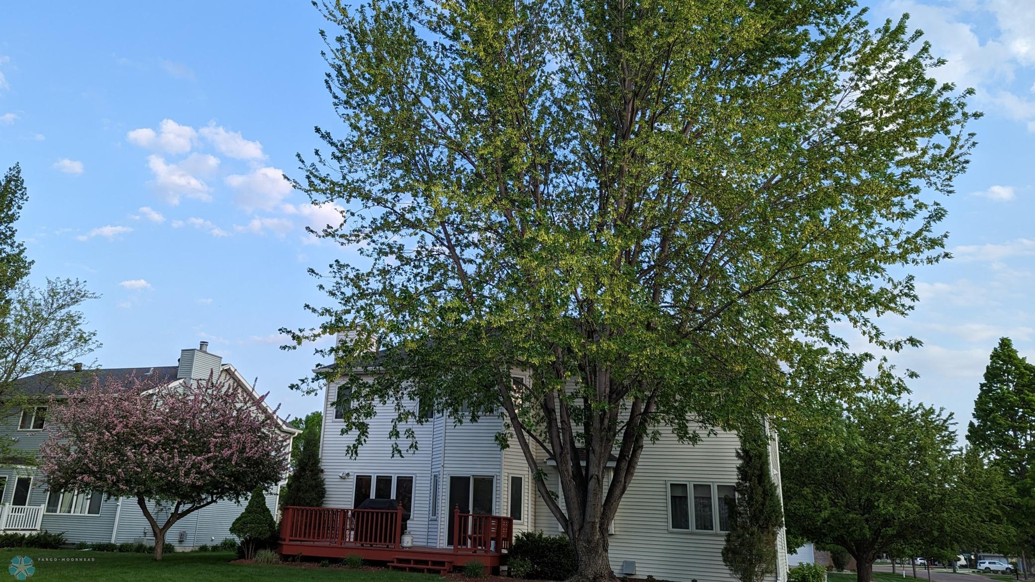Back of House Far shot.jpg