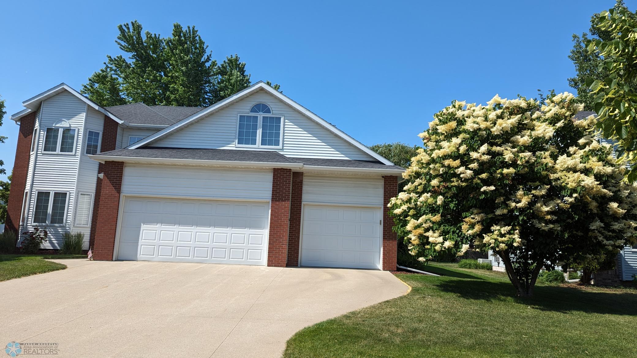 House South View Japanese Lilac.jpg