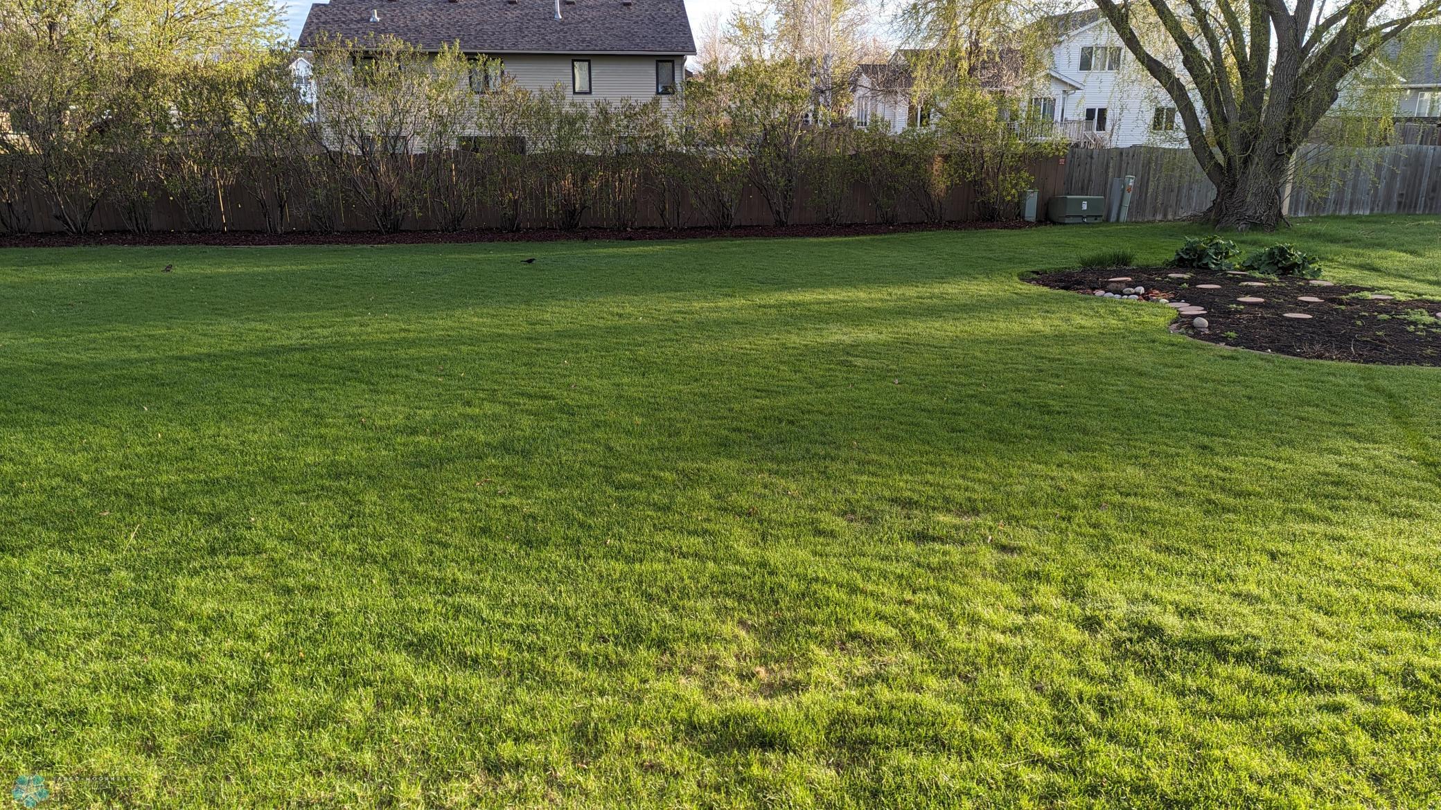 Backyard Shot.jpg