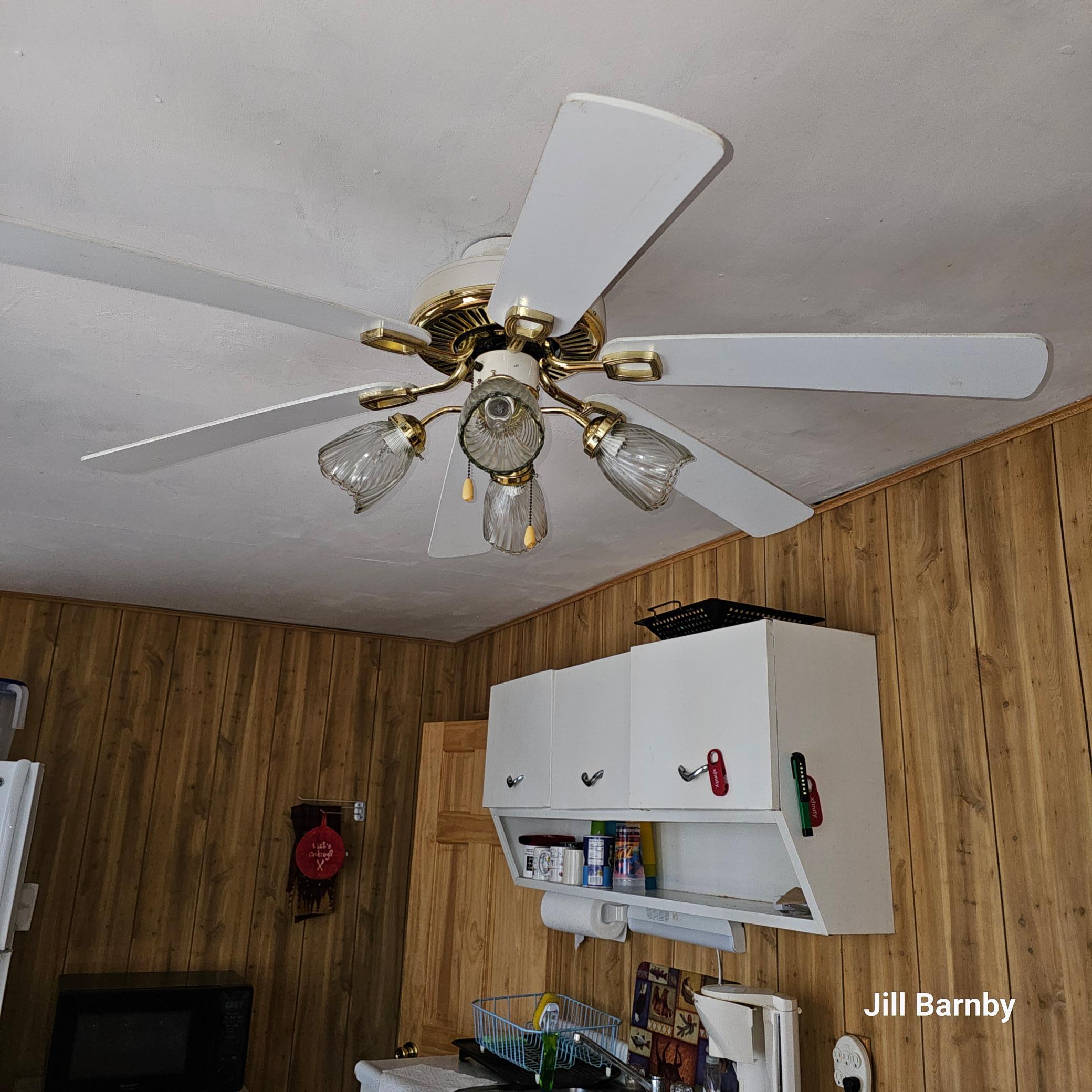 Ceiling Fan in Kitchen/dining