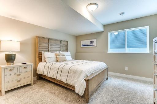 Spacious lower level bedroom with large walkin closet.