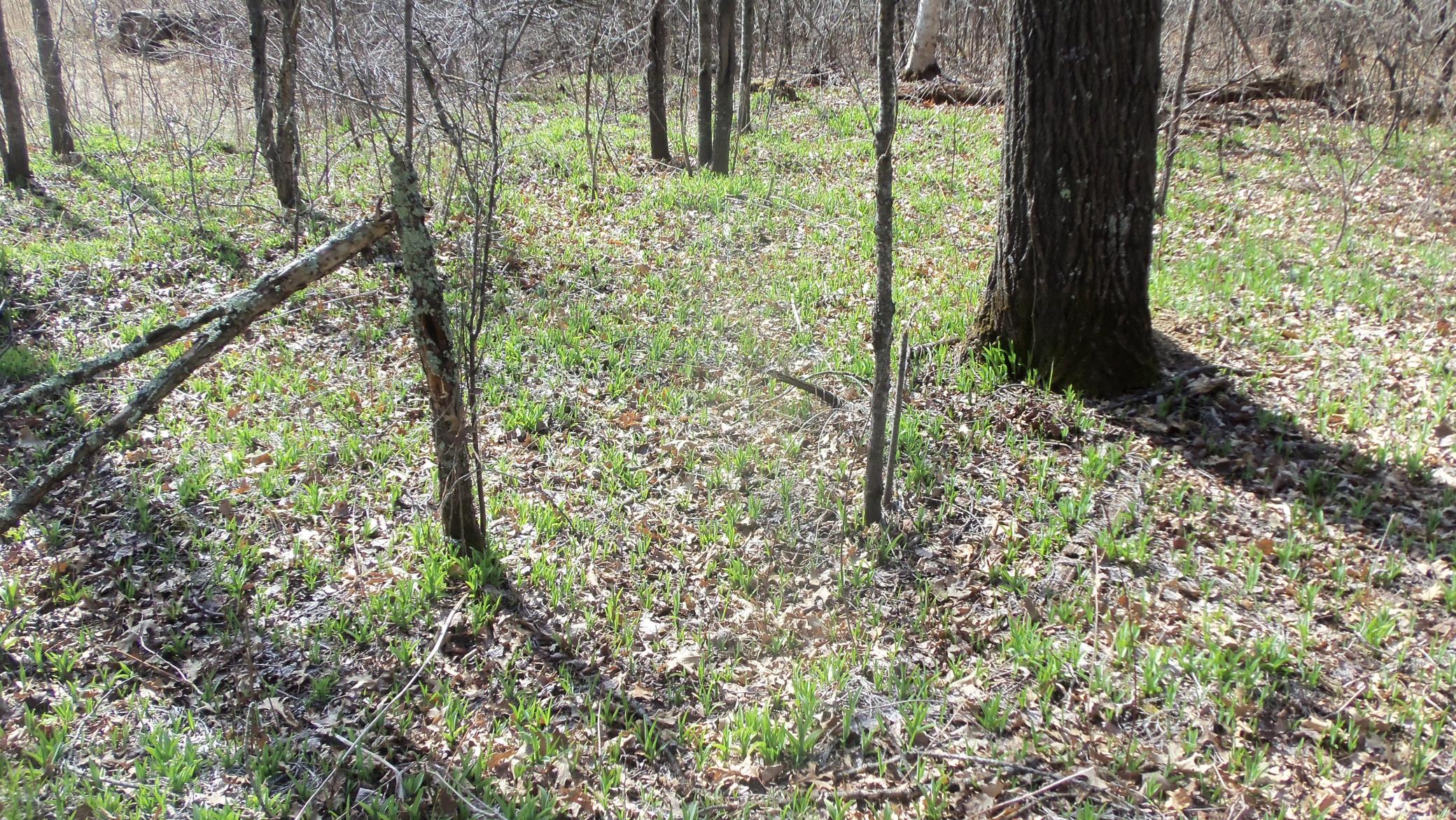 100_5328.JPG
