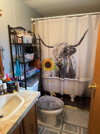 Photo for 10779 130th Street NE, Thief River Falls, MN 56701 - Listing #6530992 10779 130th Street NE, Thief River Falls, MN 56701