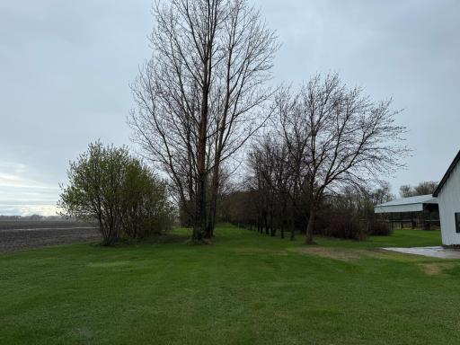 Photo for 10779 130th Street NE, Thief River Falls, MN 56701 - Listing #6530992 10779 130th Street NE, Thief River Falls, MN 56701