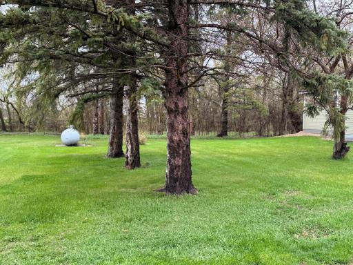 Photo for 10779 130th Street NE, Thief River Falls, MN 56701 - Listing #6530992 10779 130th Street NE, Thief River Falls, MN 56701
