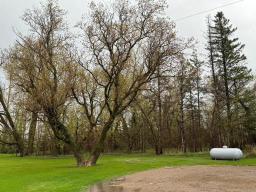 Photo for 10779 130th Street NE, Thief River Falls, MN 56701 - Listing #6530992 10779 130th Street NE, Thief River Falls, MN 56701
