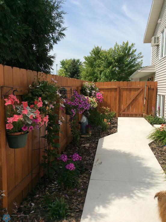 Full-fenced yard with steel posts (photo 2023)