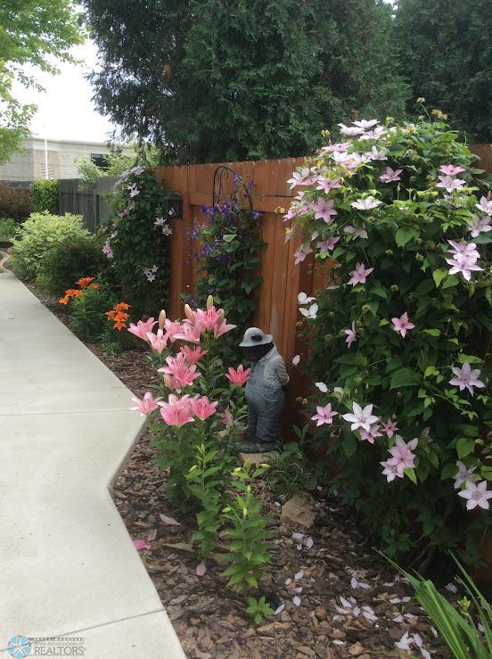 Beautiful Perennials in backyard oasis (photo 2023)!
