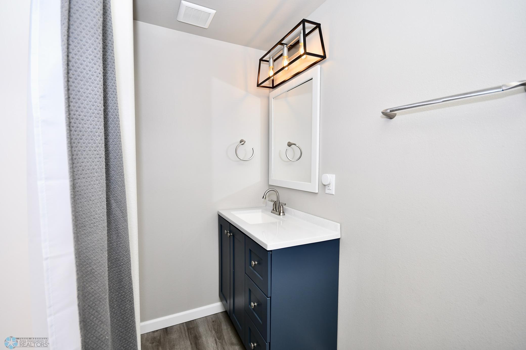 Lower level bathroom