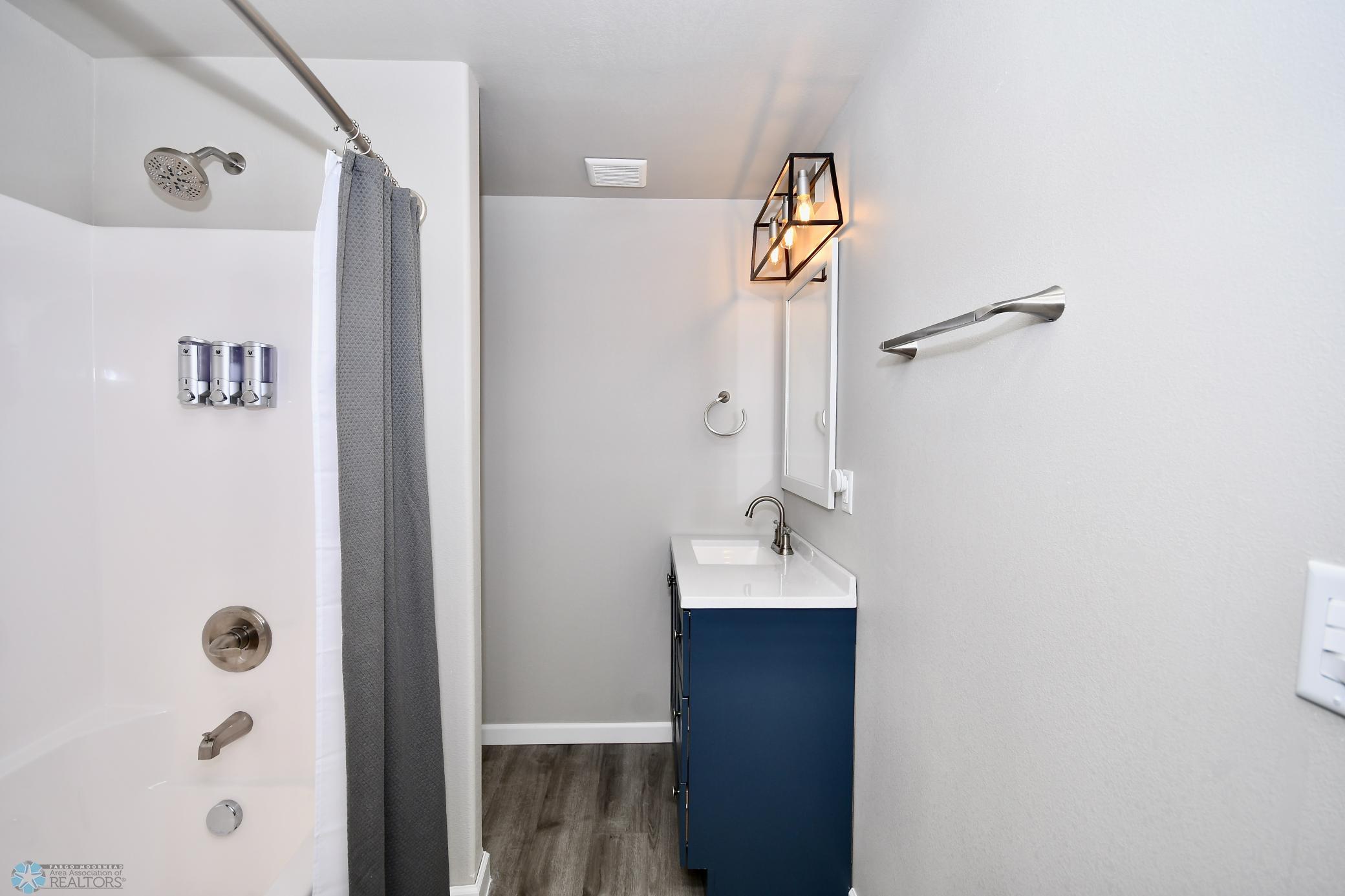 Lower level bathroom