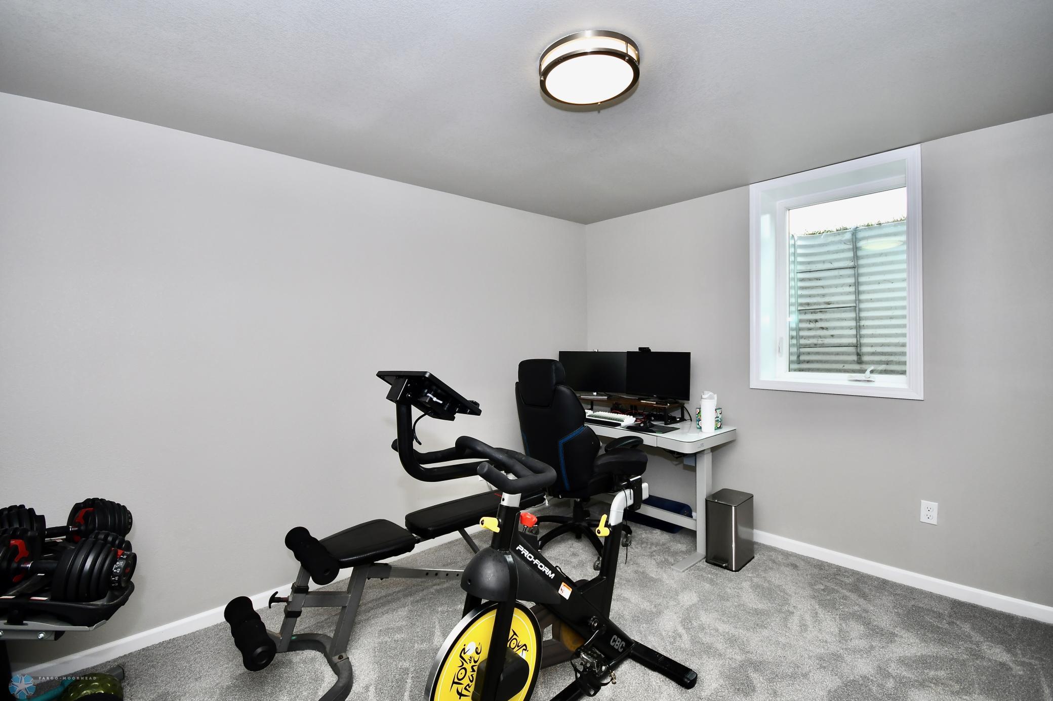 Lower level bedroom