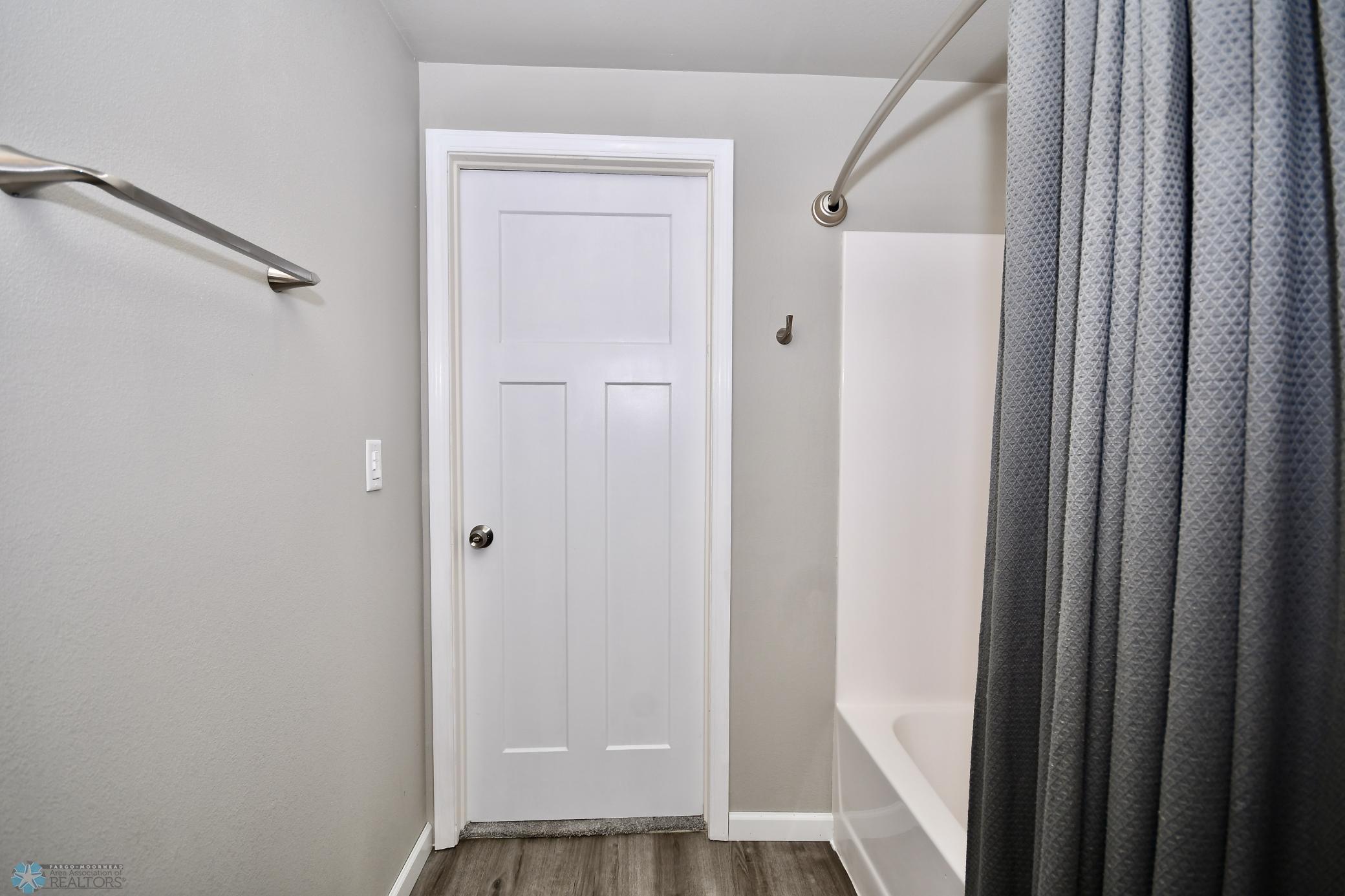 Lower level bathroom
