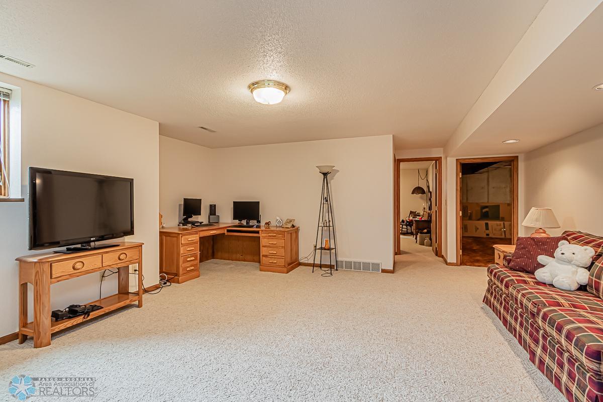 Lower Level Family Room