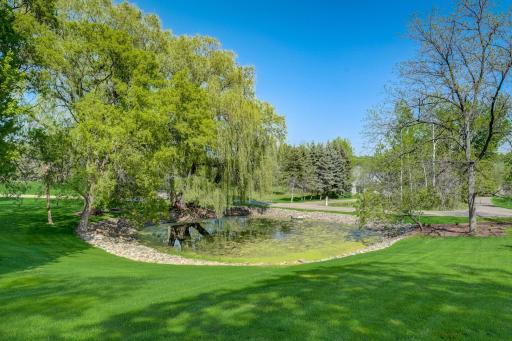 Peaceful serene pond with willow tree is the most picturesque dreamy backdrop to come home to and enjoy