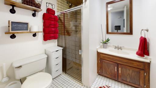 2039-43rd-Street-NW-Rochester-MN-33-Lower-Level-Bathroom.jpg