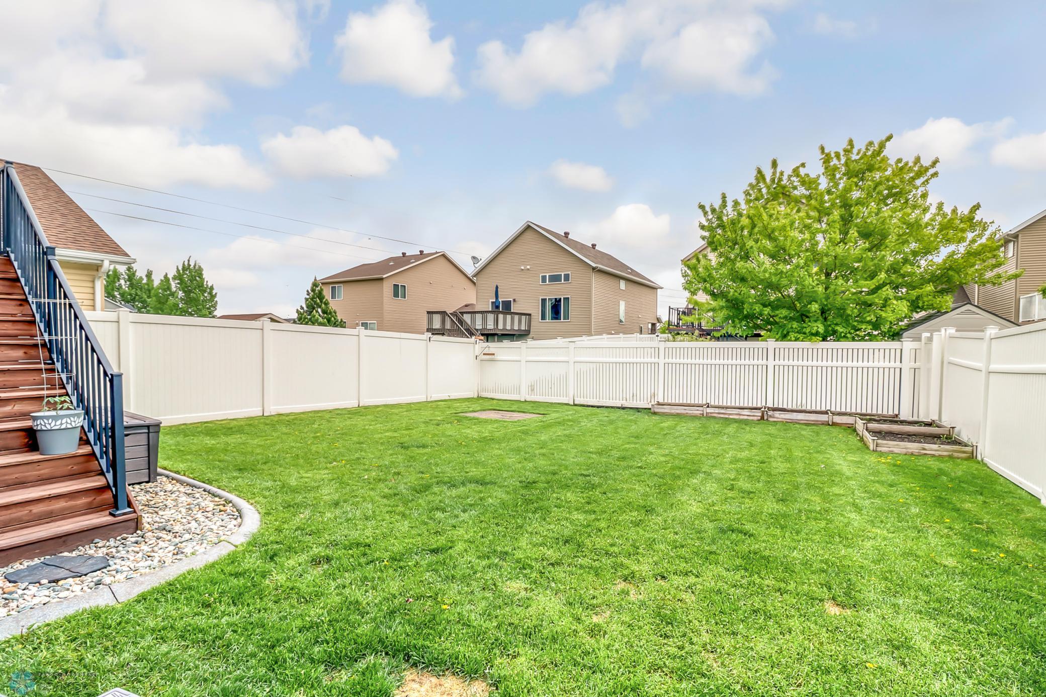 Backyard1_1.jpg
