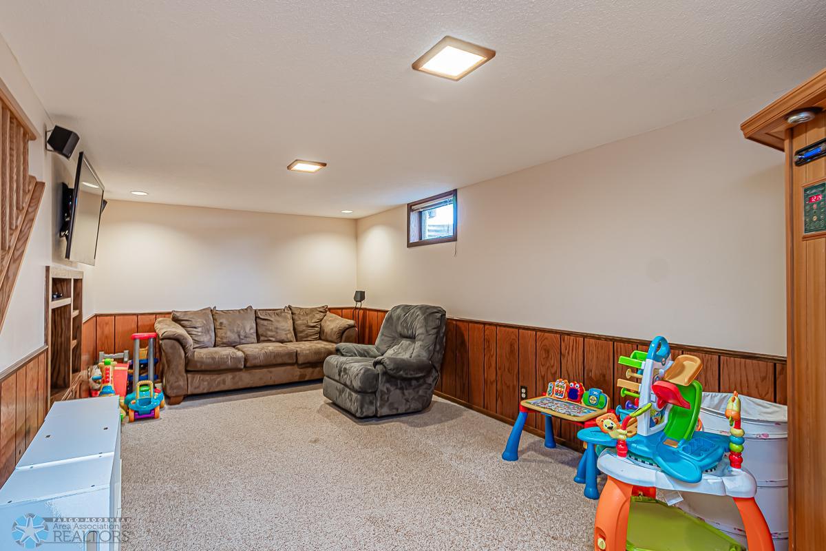 Lower Level Family Room