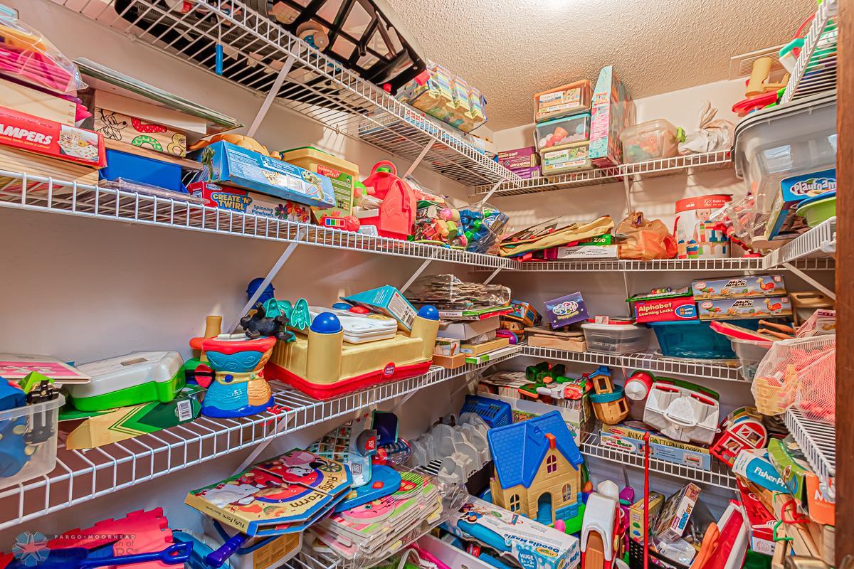 Large Lower Level storage closet