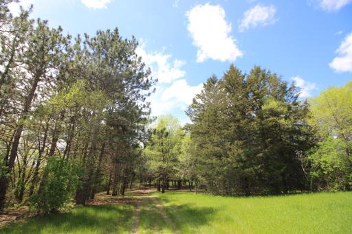 Bring your own builder and start building your custom home. This beautiful lot is ready for a new home to be built.