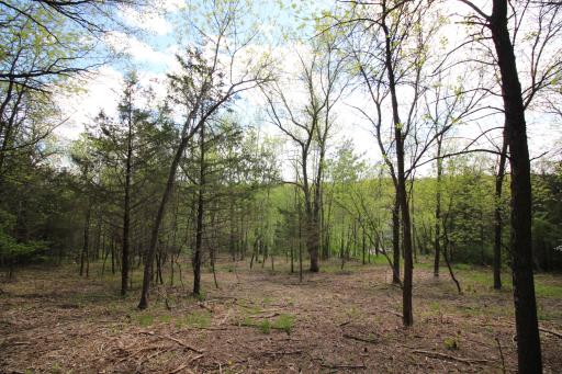 The woods completely surround the parcel creating the privacy you desire.