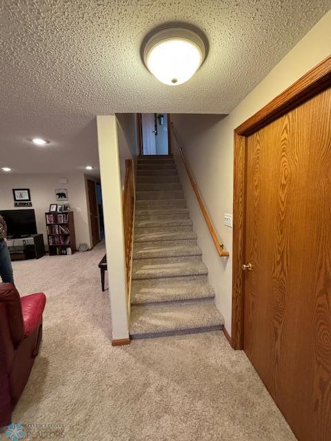 Basement family room
