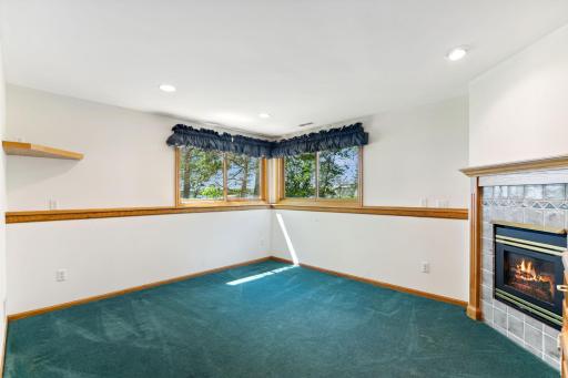 Lower level Amusement Room has south & western windows.
