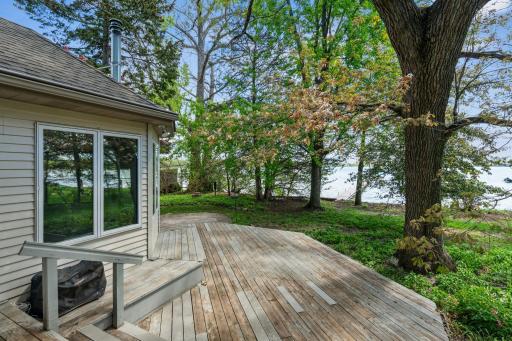 Tranquil Backyard with a variety of visiting birds