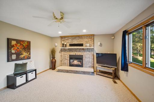 Cozy yet spacious lower level family room.