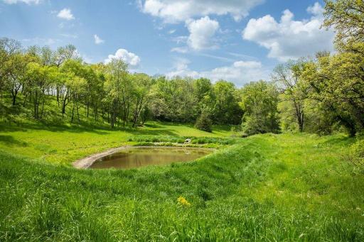 23230 Hickory Road, Lanesboro, MN 55949