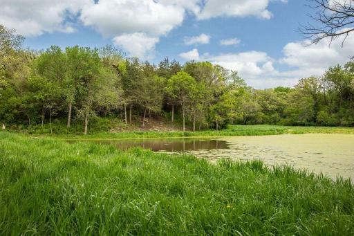 23230 Hickory Road, Lanesboro, MN 55949