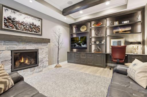 Stunning wall of bookshelves and office cabinets