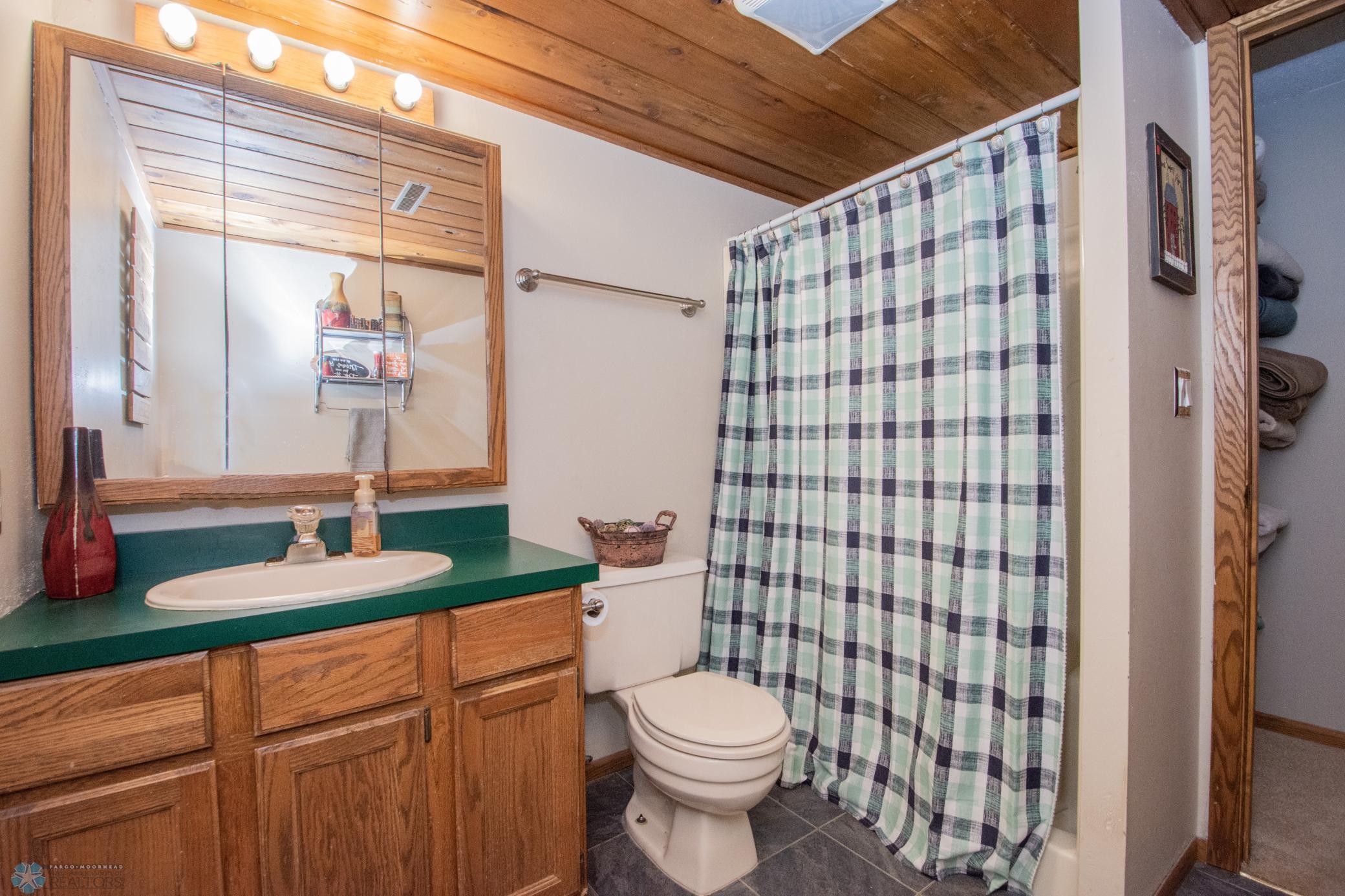 2nd Bathroom in Basement