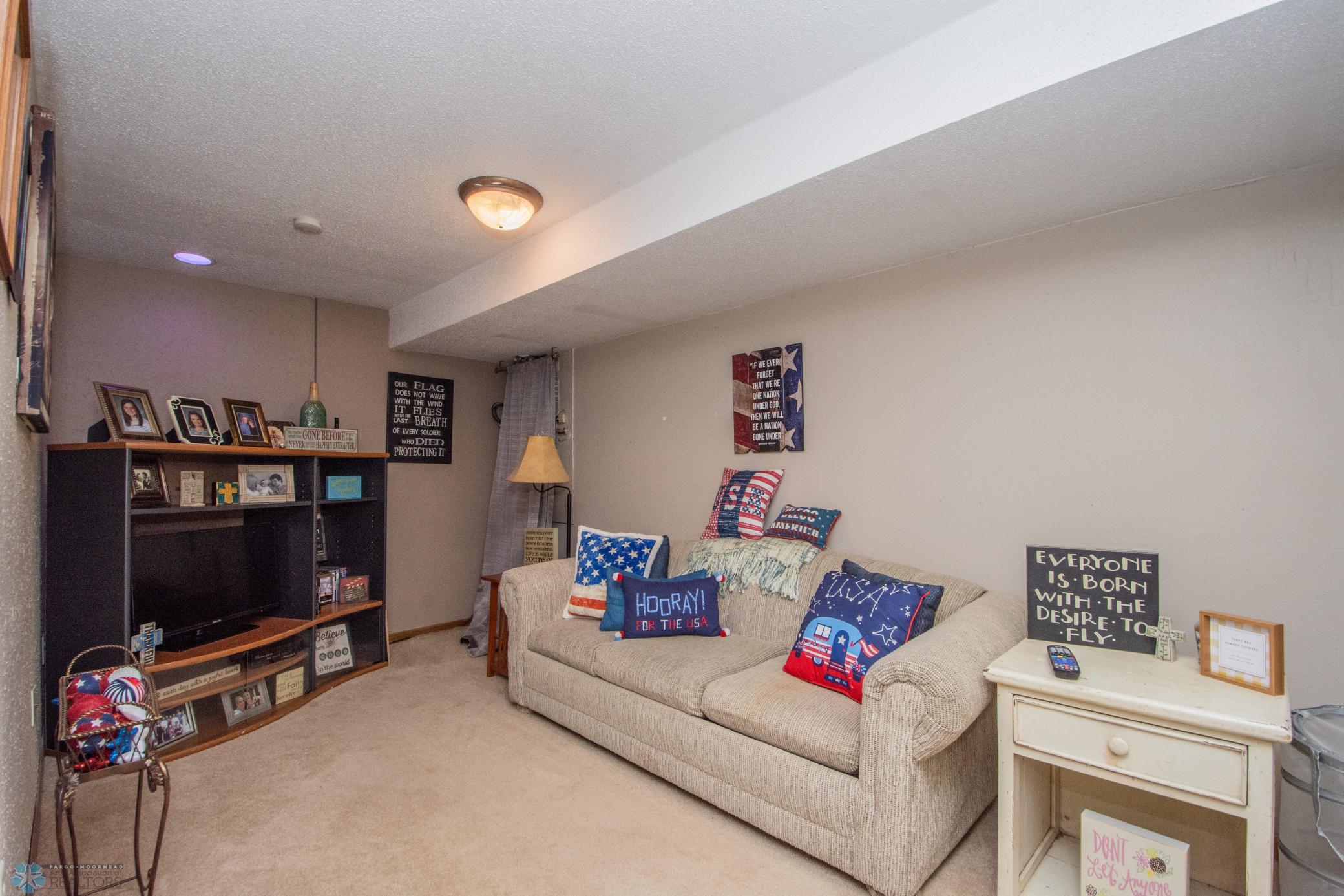2nd Living Room in Basement
