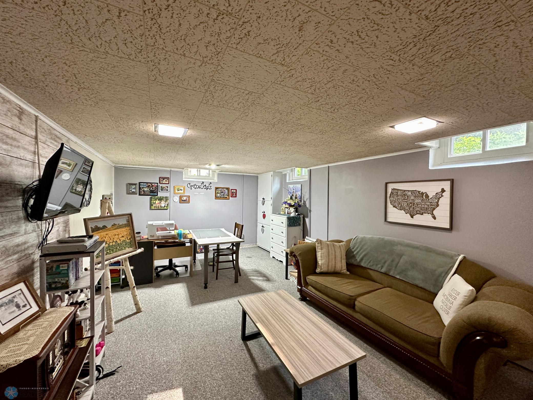 Lower level family room