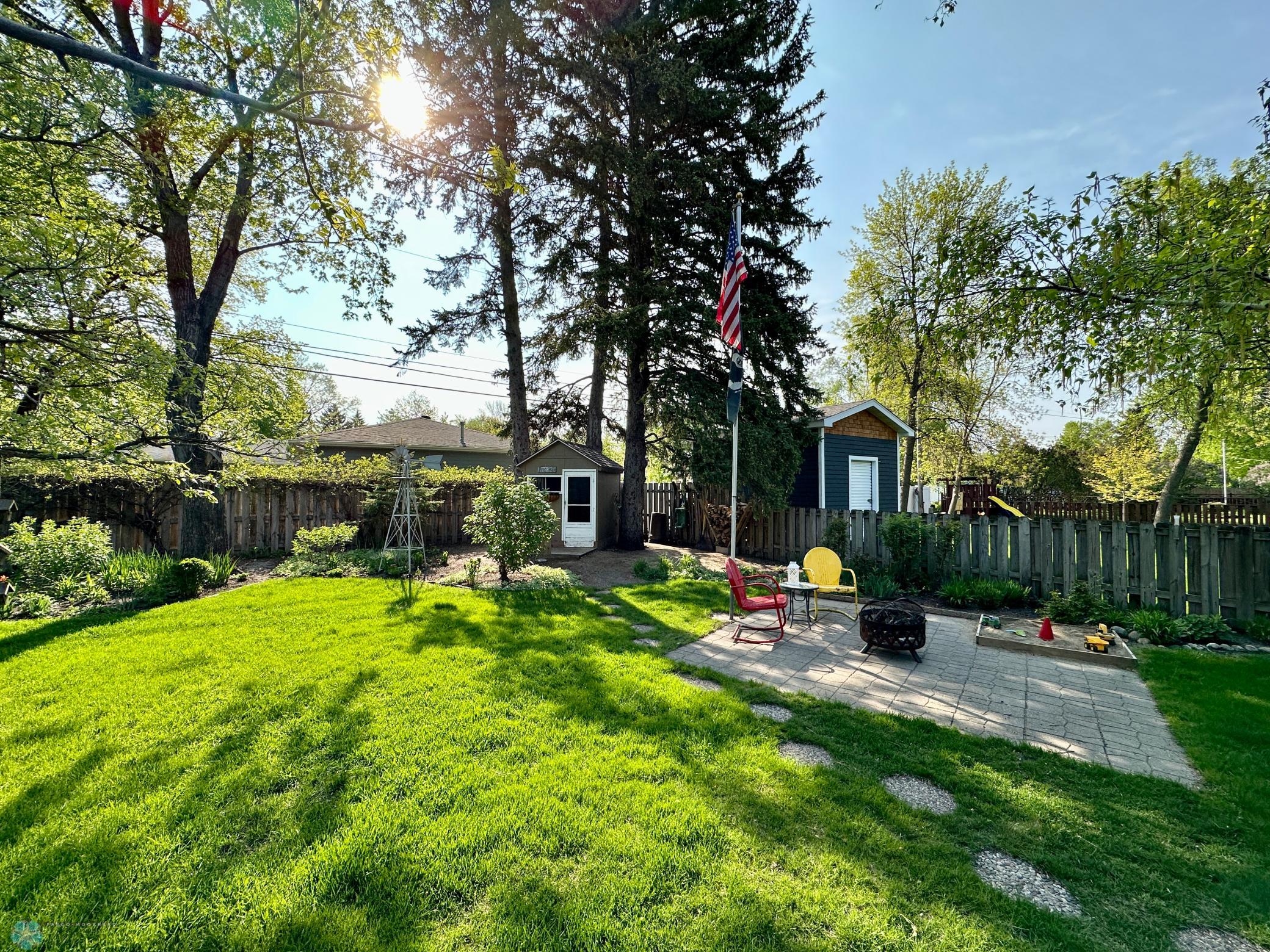 Back yard
