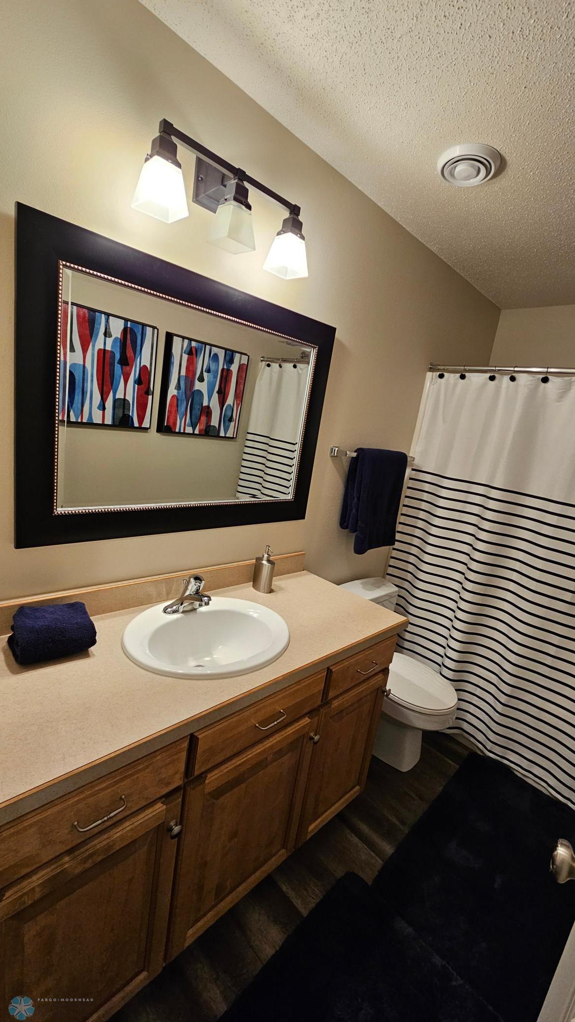 Lower level bathroom.jpg