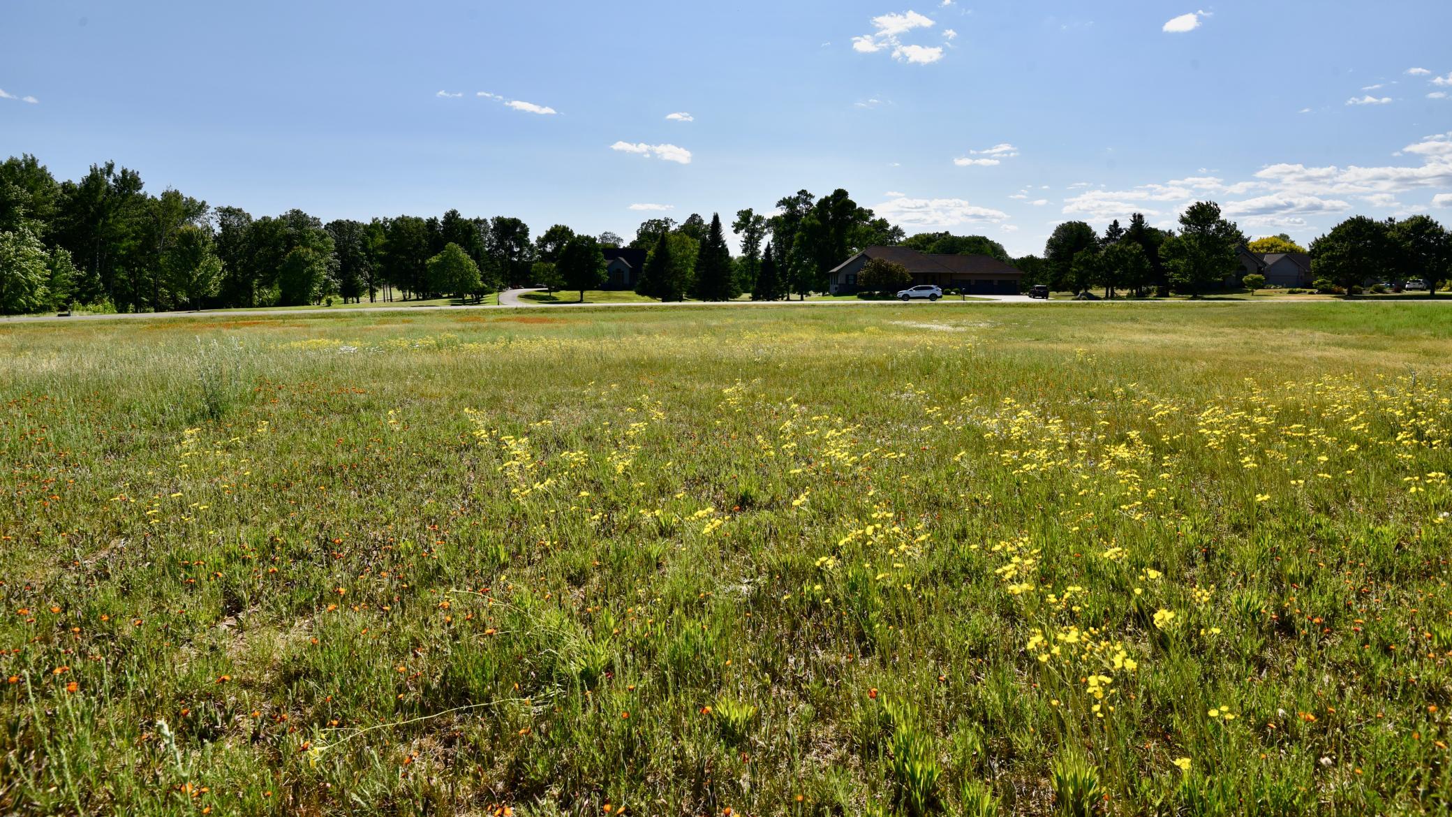 DSC_2344.JPG