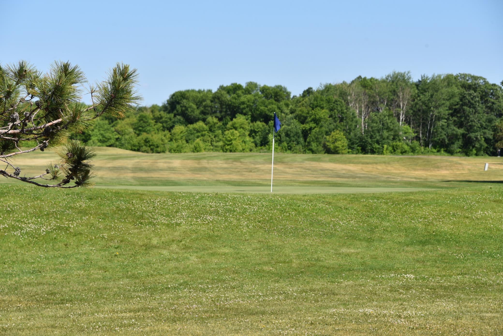 DSC_2322.JPG