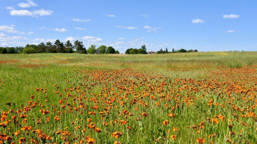 XXXX W Springbrook Trail, Mora, MN 55051