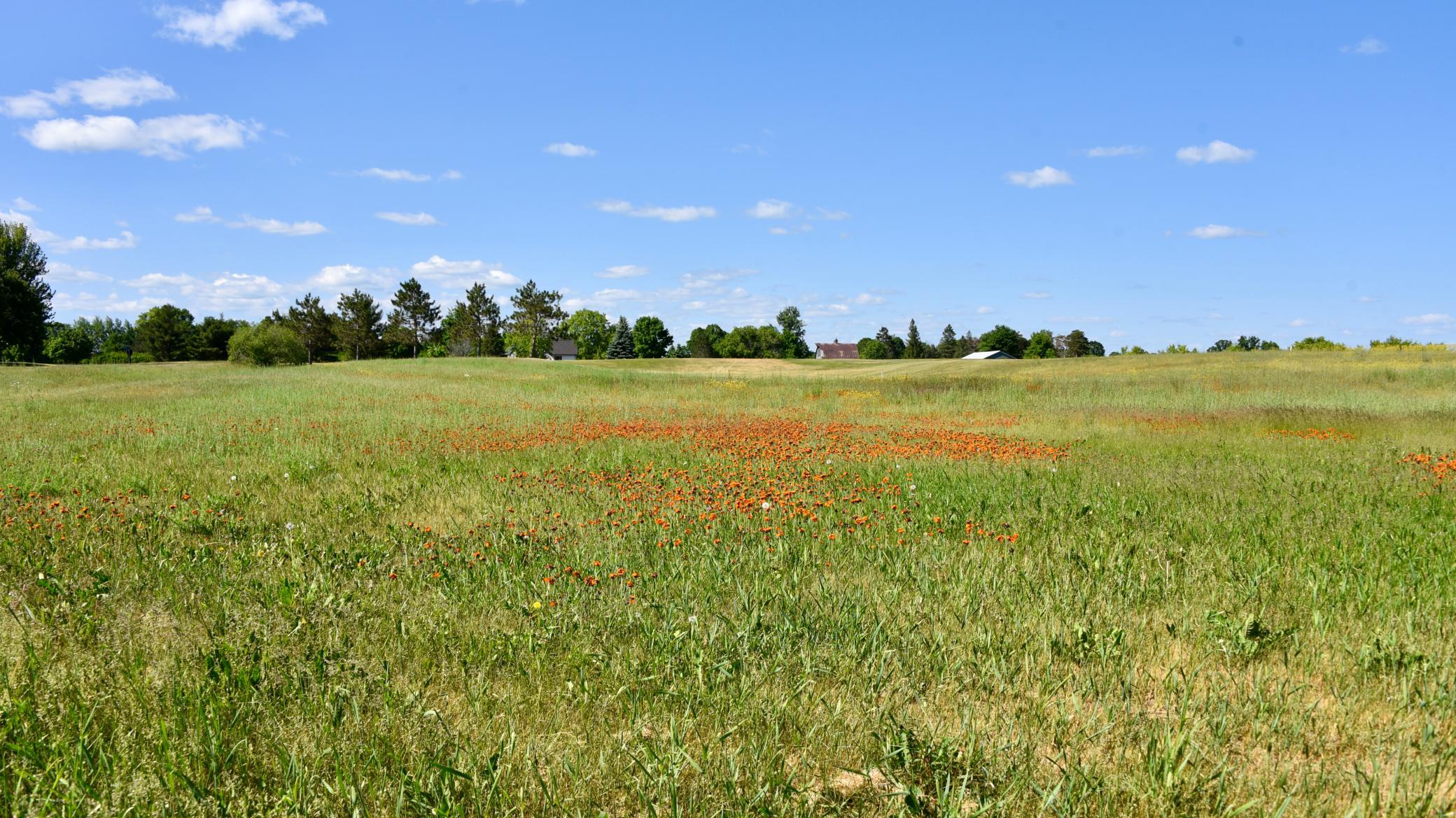 DSC_2313.JPG