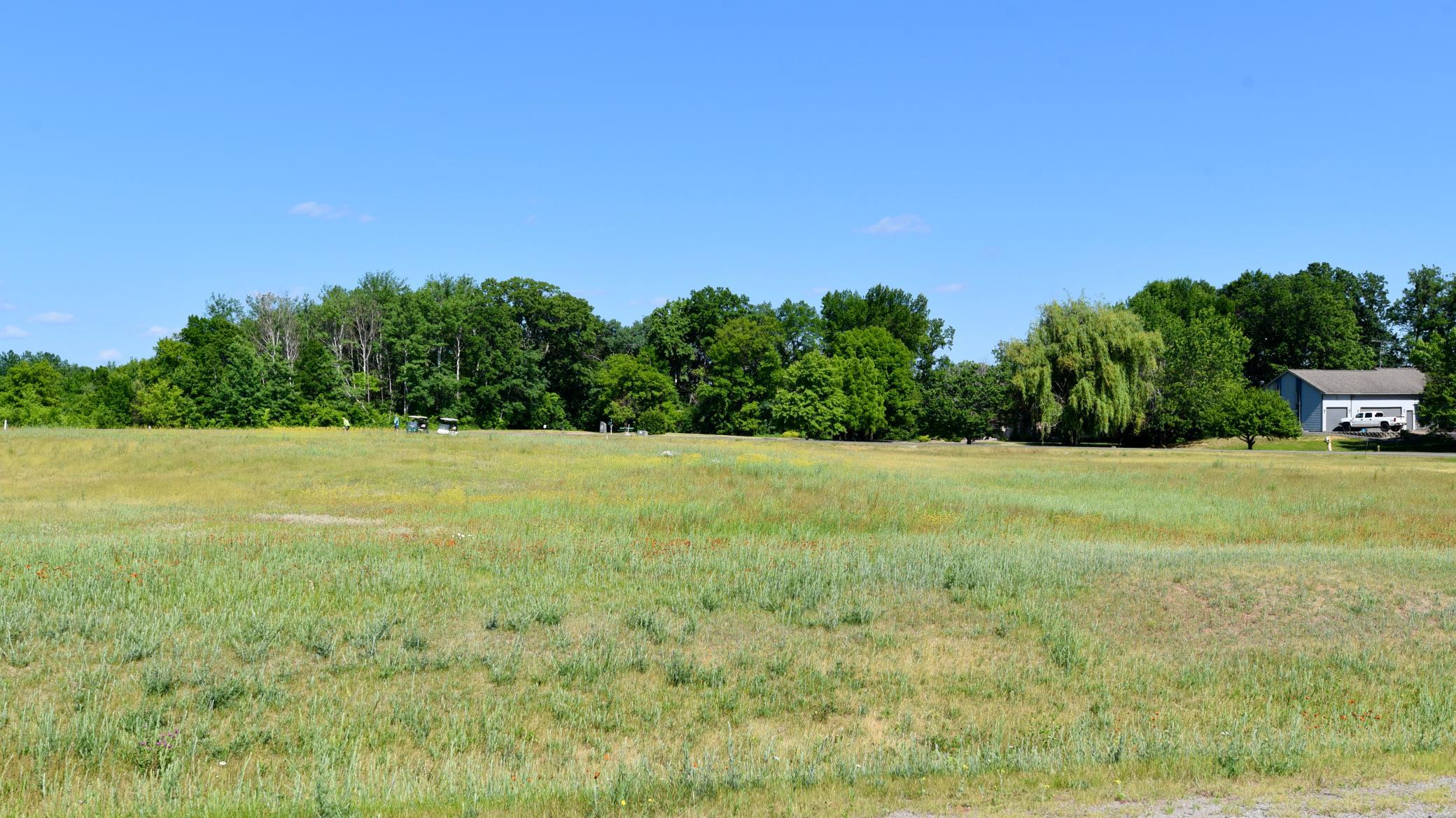 DSC_2334.JPG