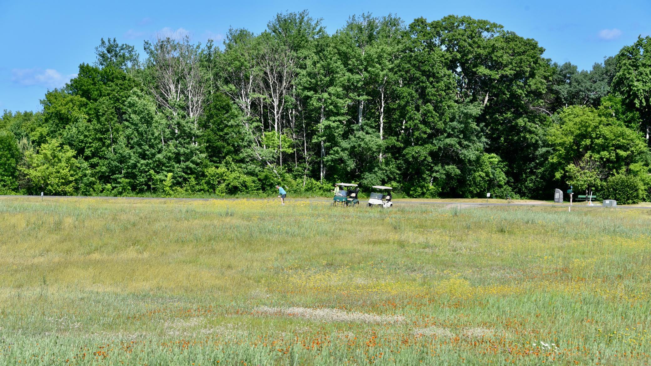 DSC_2335.JPG