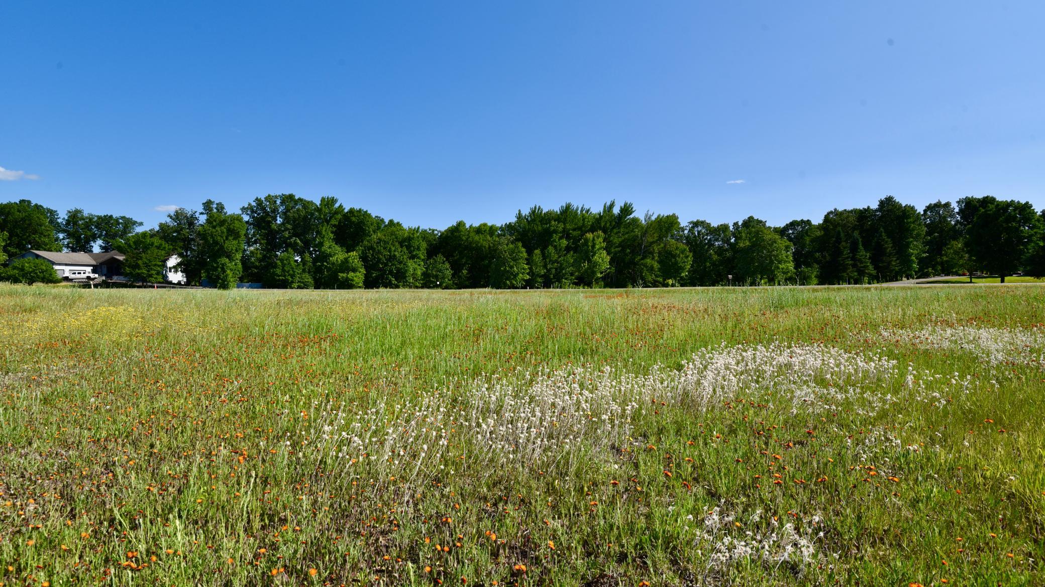 DSC_2349.JPG